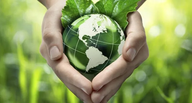 csr-green-environment-endeavors